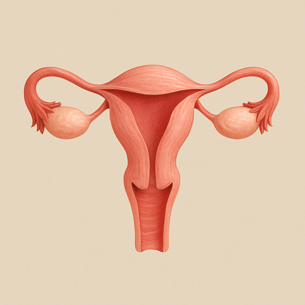 Main Benefit Image